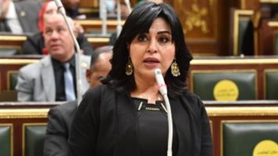 برلمانية: الحفاظ على الهوية الوطنية ضرورة لمواجهة مخططات الجماعة الإرهابية