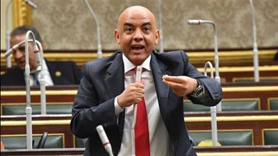 برلماني: مهرجان العلمين انطلاقة حقيقية لدعم وتنشيط السياحة