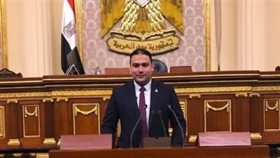 برلمانى: الحوار الوطنى خلق حالة من التلاحم السياسي والحزبي غير المسبوق