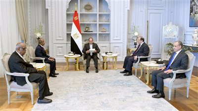 الرئيس السيسي يستقبل وزير الخارجية الإريتري