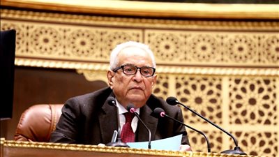 وكيل الشيوخ: مصر لاعب رئيسى لإقرار السلام.. واستفزازات إسرائيل لعرقلة الهدنة