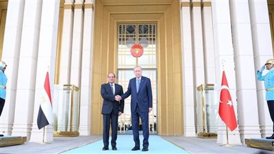 الرئيس السيسي: موقف مصرى تركى ثابت بضرورة وقف إطلاق النار فى قطاع غزة