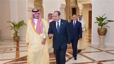 الرئيس السيسي يستقبل وزير الداخلية السعودي 