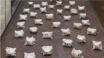 ضبط مخدرات بقيمة 210 ملايين جنيه فى ضربة أمنية