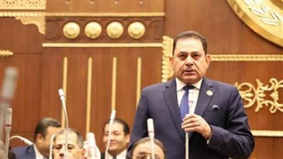برلماني: الدولة المصرية تبذل جهودًا دؤوبة لحفظ الاستقرار الإقليمى