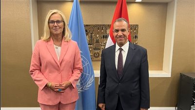 وزير الخارجية يؤكد ضرورة تسهيل وتسريع نفاذ المساعدات إلى قطاع غزة