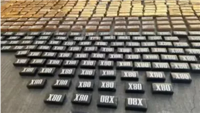 ضبط شحنة مخدرات بقيمة ربع مليار جنيه