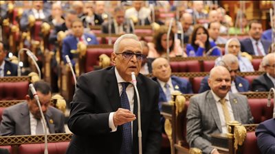 وكيلا الشيوخ: تعديلات قانون البناء لتنظيم التراخيص والقضاء على العشوائية العمرانية