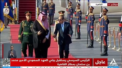 بث مباشر.. الرئيس السيسي يستقبل ولى العهد السعودى بمطار القاهرة