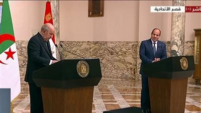 الرئيس الجزائري: نؤيد مبادرة الرئيس السيسي لوقف إطلاق النار في قطاع غزة