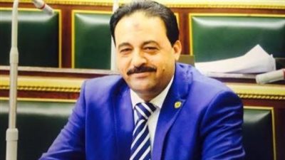 عضو دفاع النواب: حرب أكتوبر أثبتت أن القوات المسلحة هي الحامية لتراب الوطن