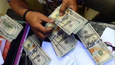 ضبط عملات أجنبية بالسوق السوداء بقيمة 30 مليون جنيه