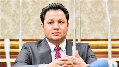 برلماني: مصر تحتضن ملايين اللاجئين.. وتعاملها معهم 