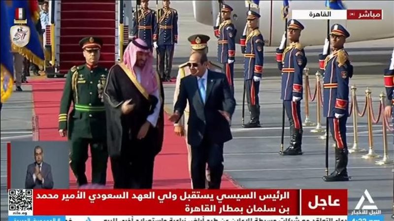 جانب من الاستقبال