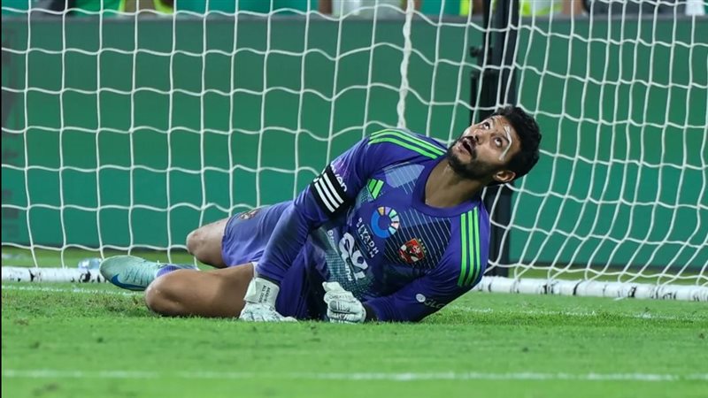 محمد الشناوي 