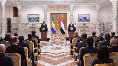 الرئيس السيسي: اتفقنا على تعزيز دعم مصر للجابون فى عدد من القطاعات