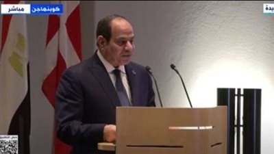 الرئيس السيسي: مجلس الأعمال المصرى الدنماركى نقطة انطلاق للإطلاع على إمكانيات مصر