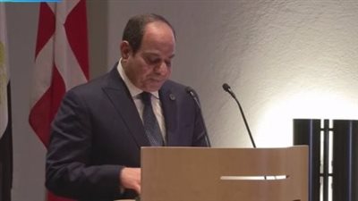 الرئيس السيسي: لن ندخر جهدًا فى توجيه كافة أوجه الدعم للشركات الدنماركية بمصر