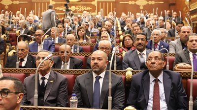 الشيوخ يوافق على رفع الحصانة عن النائب أحمد دياب للإدلاء بأقواله في وفاة اللاعب أحمد رفعت