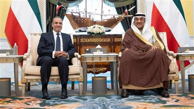 وزير الخارجية يستهل زيارته إلى الكويت بلقاء ولي العهد