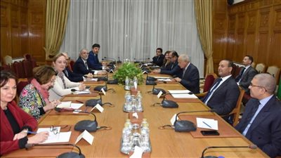 أبو الغيط يستقبل وفد مجلس الشيوخ الفرنسى