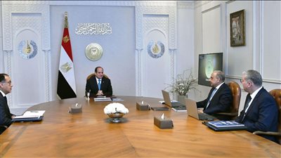 الرئيس السيسي يوجه بتكثيف الجهود الحكومية لتعزيز فرص جذب الاستثمارات لقطاع الطاقة
