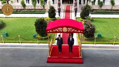 الرئيس السيسي ونظيره الإندونيسى يؤكدان التزامهما بتعميق التعاون الثنائى