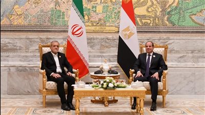 الرئيس السيسي يلتقي نظيره الإيراني على هامش قمة الدول الثماني النامية 