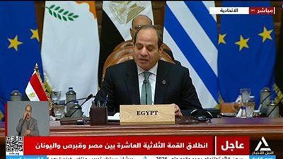 الرئيس السيسي: التعاون الاقتصادى بين مصر وقبرص واليونان خطوة استراتيجية