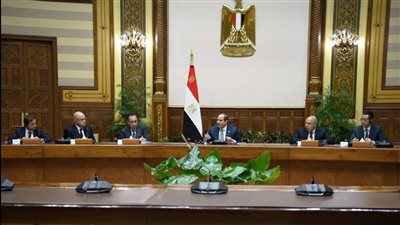 الرئيس السيسي يلتقى برؤساء عدد من كبريات الشركات الدولية العاملة فى الصناعة