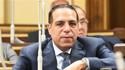 برلمانى: جماعة الإخوان الإرهابية تحارب الدولة بنشر الشائعات والأكاذيب