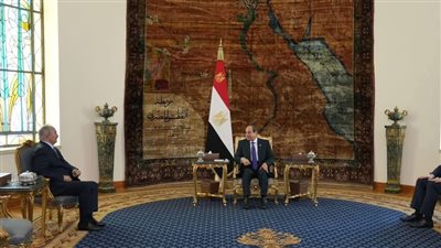 الرئيس السيسي لـ