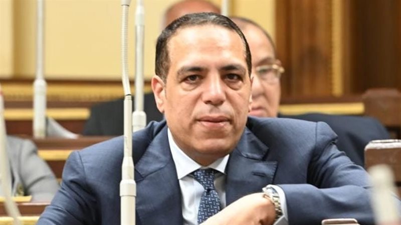 النائب الصافي عبد