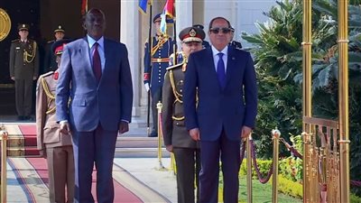 الرئيس السيسي: عازمون على العمل مع الرئيس ترامب للتواصل لسلام قائم على حل الدولتين