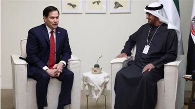 رئيس الإمارات يؤكد لوزير الخارجية الأمريكى رفض بلاده لتهجير الفلسطينيين