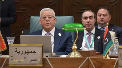 رئيس النواب: مصر وفرت حماية دبلوماسية لإجهاض مُخططات تهجير الشعب الفلسطينى