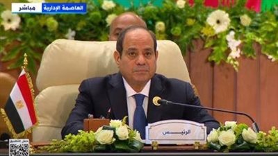 الرئيس السيسي: اتفاقية السلام تلزم كل طرف احترام الحدود