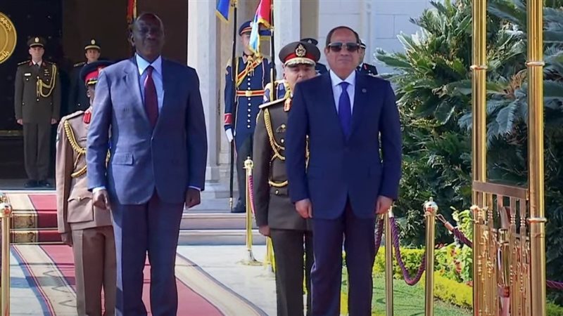 الرئيس السيسي ونظيره