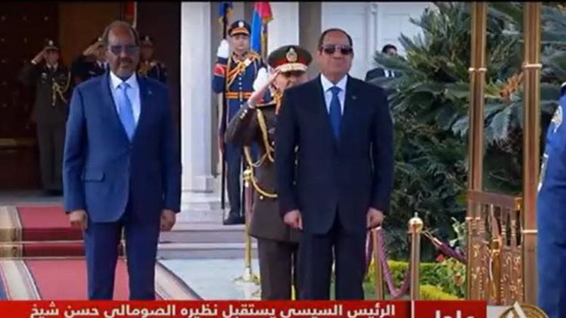 الرئيس السيسي ونظيره