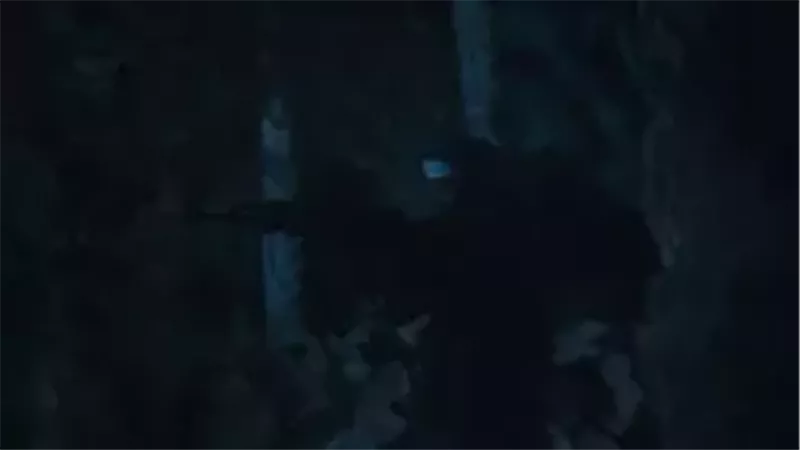 لحظة إطلاق النار