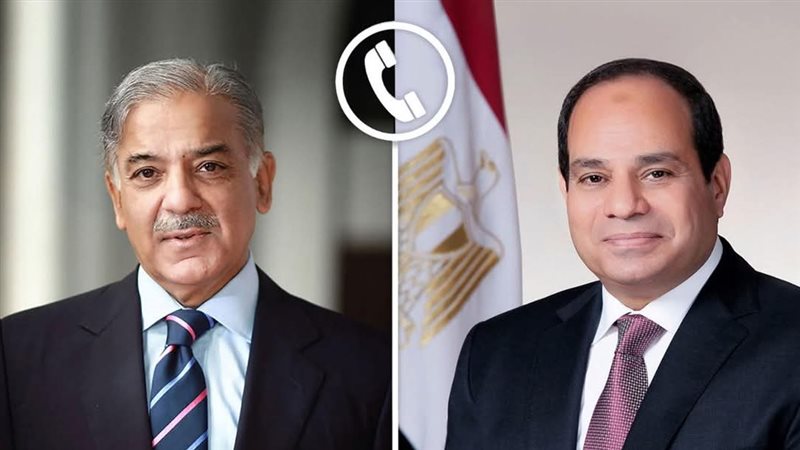 الرئيس السيسي ورئيس
