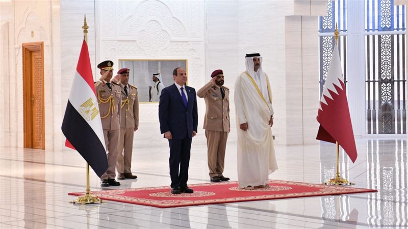 جانب من الاستقبال