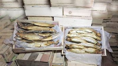 ضبط 8 أطنان من أسماك 