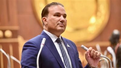 النائب تامر عبد الحميد 