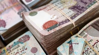 ضبط شبكة غسل أموال بـ 170 مليون جنيه من تجارة العملة غير المشروعة