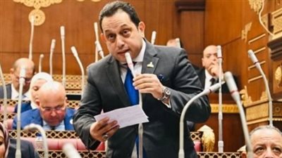 النائب محمد الجندى 