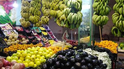 الخضروات والفاكهة 