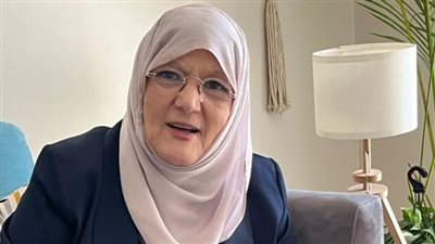 شمس البارودي 