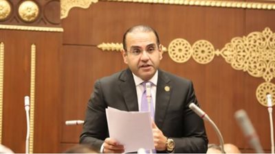 المهندس محمد المنزلاوى 