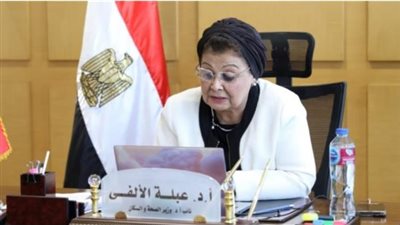 نائب وزير الصحة تستعرض التجربة المصرية في السكان والصحة الإنجابية بنيويورك